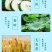 冬瓜荷叶茶,以冬瓜和荷叶为基料。