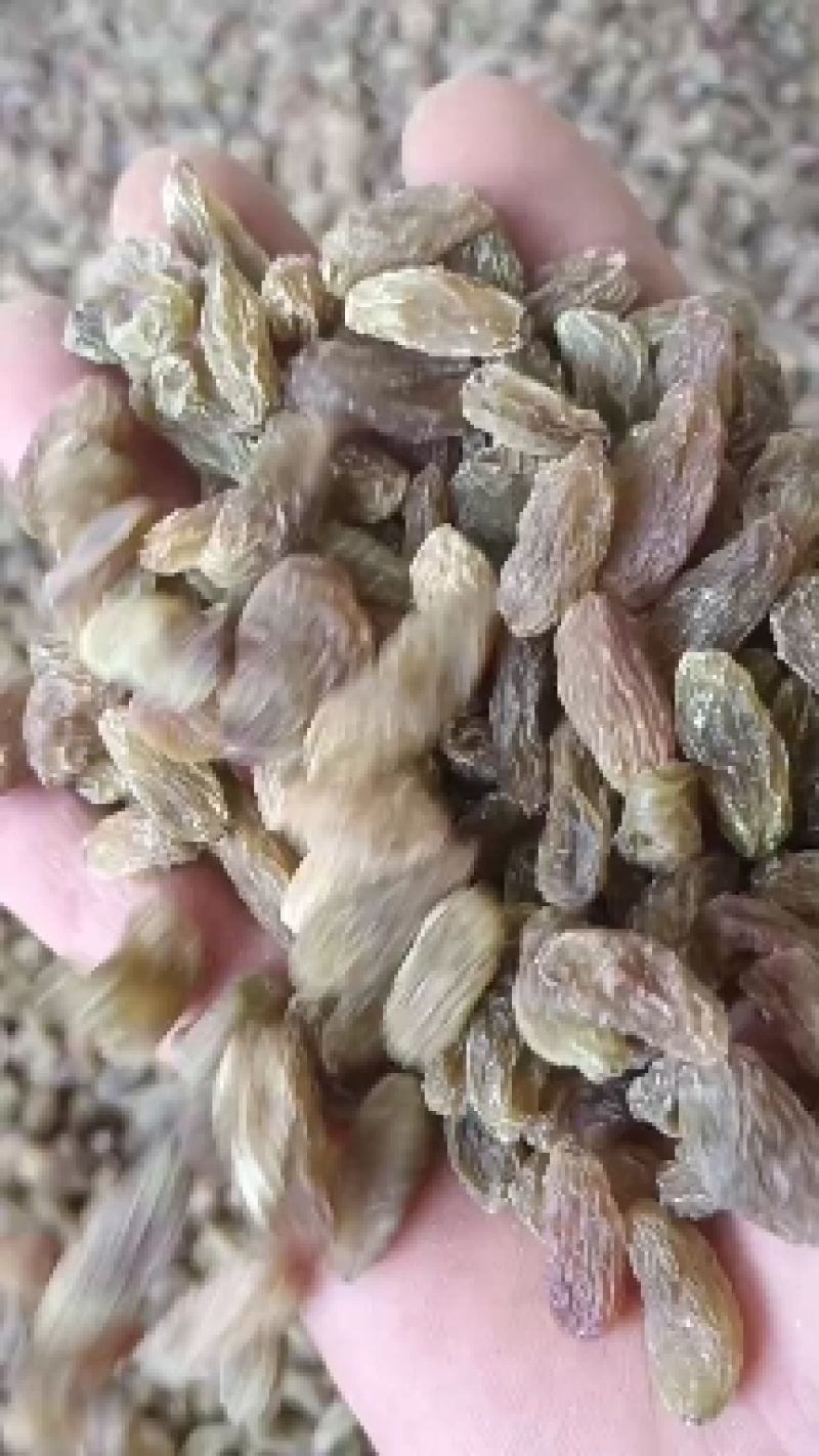 葡萄干