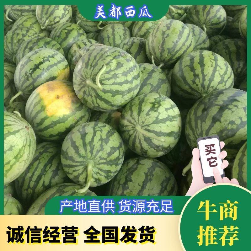 美都西瓜湖北精品西瓜头茬瓜货量充足水分足欢迎联系