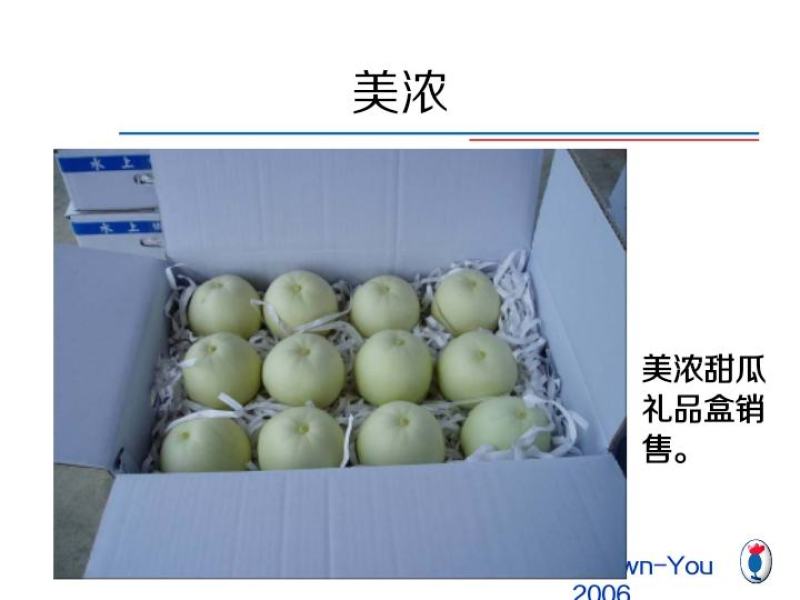 甜瓜精品美浓、香妃湖北新品产地直供