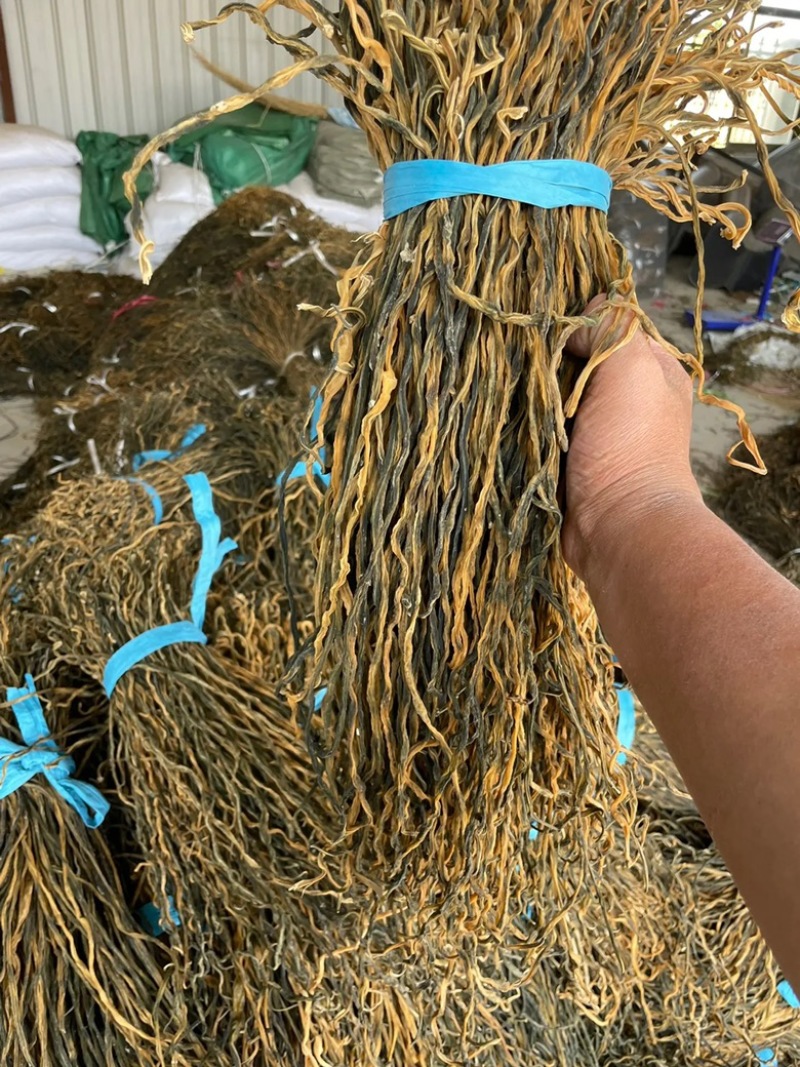 精品干豆角