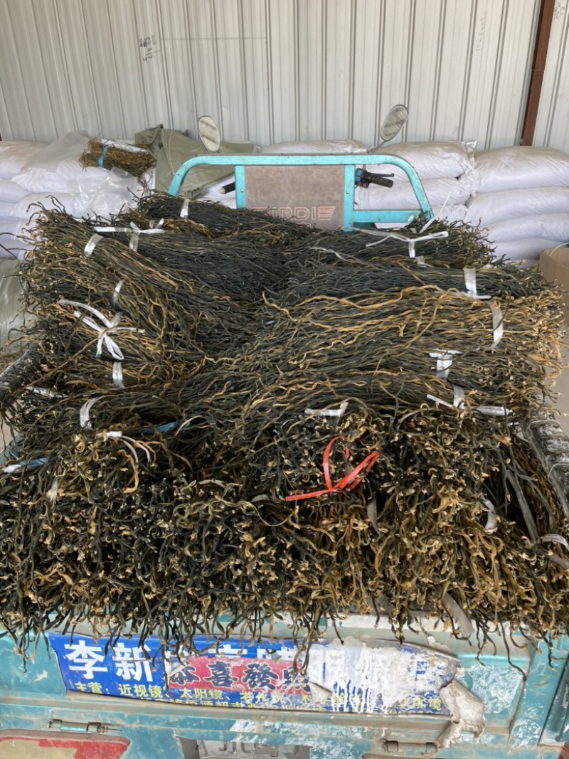 精品干豆角