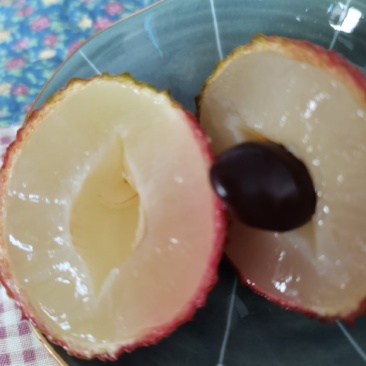 正宗屏边妃子笑