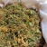 金银花