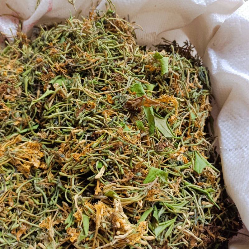 金银花