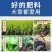 液体氮肥叶面肥农用代替尿素追肥蔬菜果树小麦玉米水稻提苗补