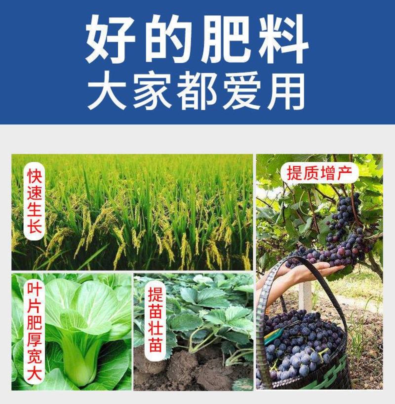 液体氮肥叶面肥农用代替尿素追肥蔬菜果树小麦玉米水稻提苗补