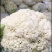 青梗散花松花菜有机菜花散菜花菜花