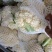 青梗散花松花菜有机菜花散菜花菜花