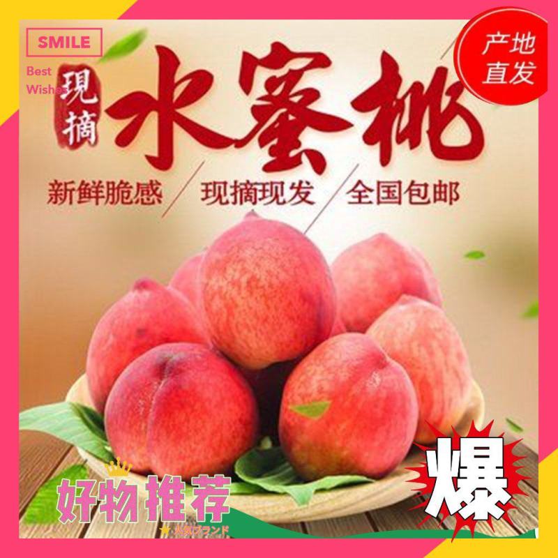 红不软毛桃春美奇美突围水蜜桃65MM以上产地现摘