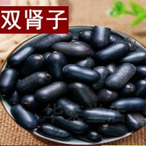 双肾子道地中药材石莲子颗粒饱满粉质细腻泡酒煲汤