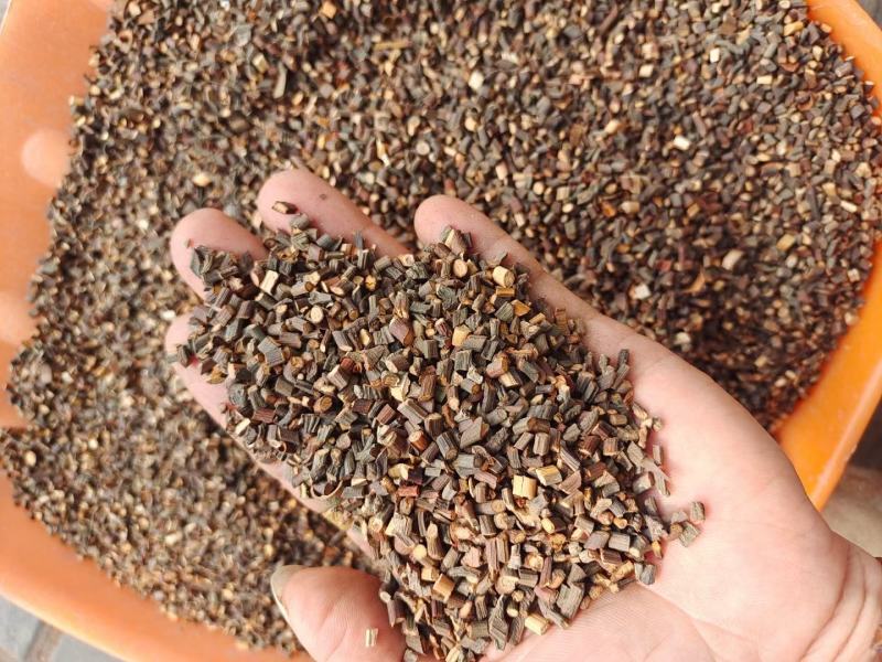 2斤起批特细嫩桂枝尖桂枝粒药用广西特产玉林直发另卖桂枝片