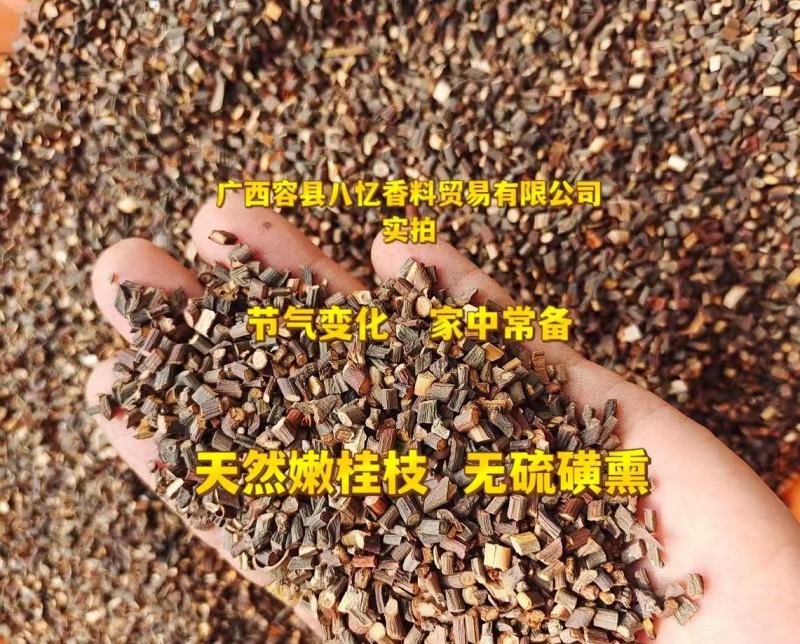 2斤起批特细嫩桂枝尖桂枝粒药用广西特产玉林直发另卖桂枝片