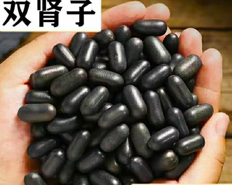 双肾子道地中药材石莲子颗粒饱满粉质细腻泡酒煲汤