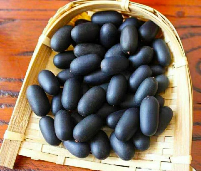 双肾子道地中药材石莲子颗粒饱满粉质细腻泡酒煲汤