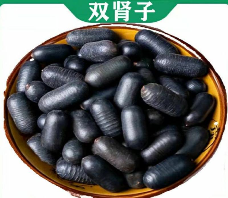 双肾子道地中药材石莲子颗粒饱满粉质细腻泡酒煲汤
