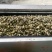 青菱角，溪水种植，外壳漂亮，口感佳欢迎合作，放心