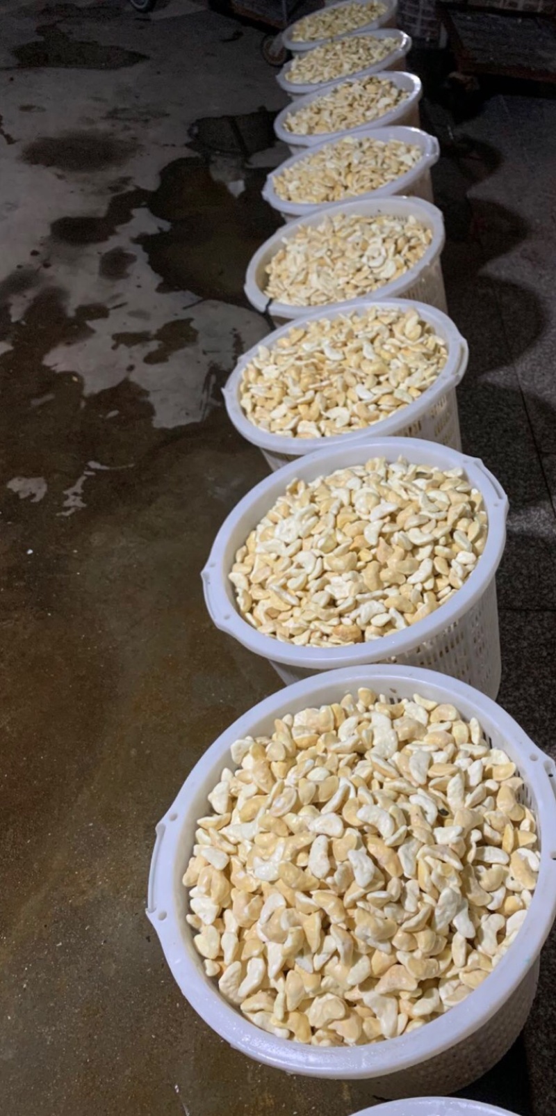 菱角米，溪水种植，口感好，绿色健康，欢迎合作，放心负责
