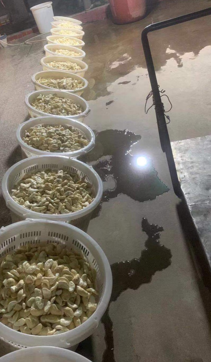 菱角米，溪水种植，口感好，绿色健康，欢迎合作，放心负责