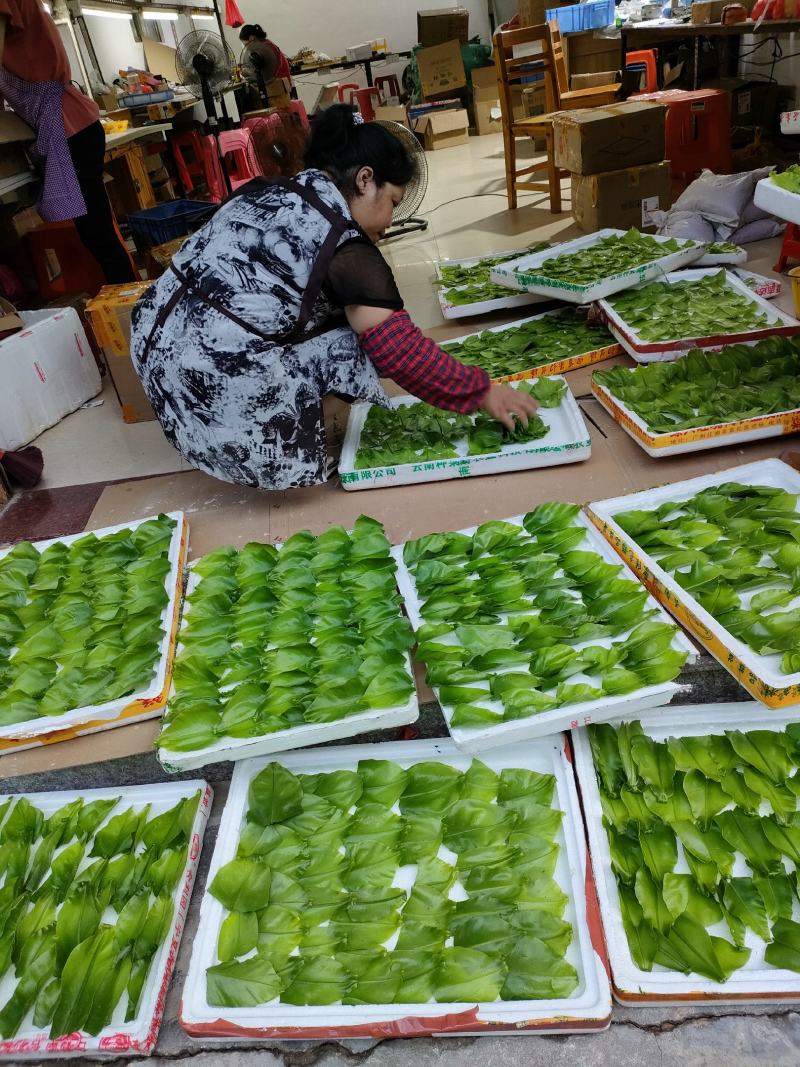 山野菜