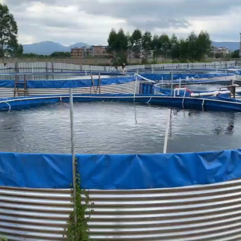 镀锌板帆布池方形圆形刀刮布养殖池蓄水池圆桶支架尺寸定做厂