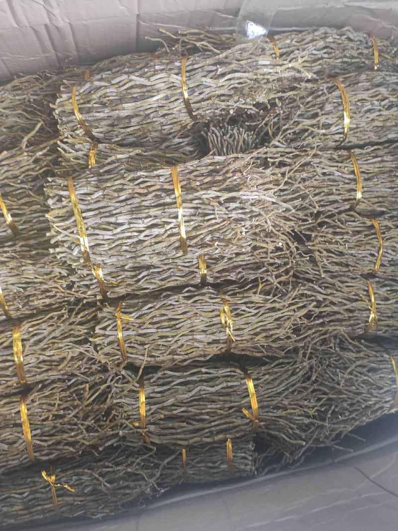 铁皮石斛铁皮石斛干条常年经营各种石斛