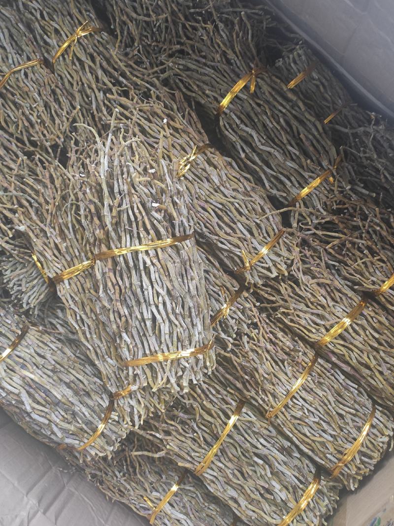 铁皮石斛铁皮石斛干条常年经营各种石斛