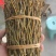 铁皮石斛干条量大从优欢迎选购！