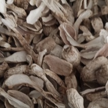 烘干鸡腿菇