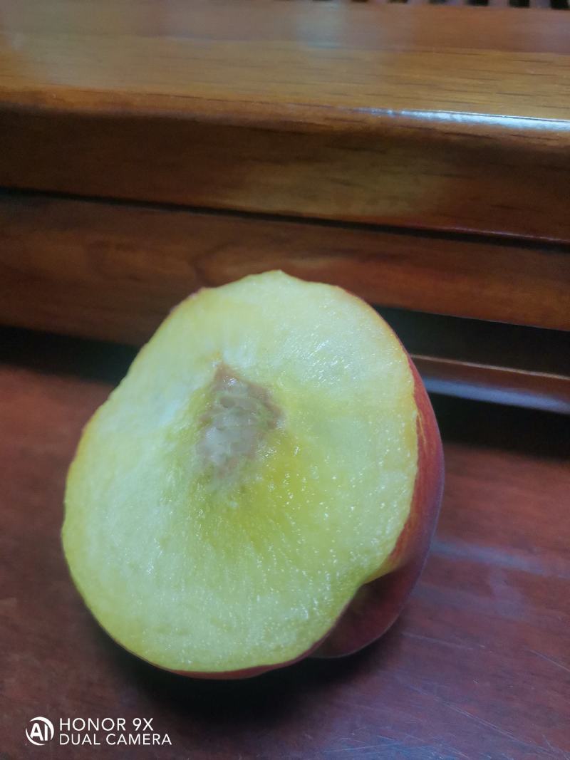 金阳黄金桃