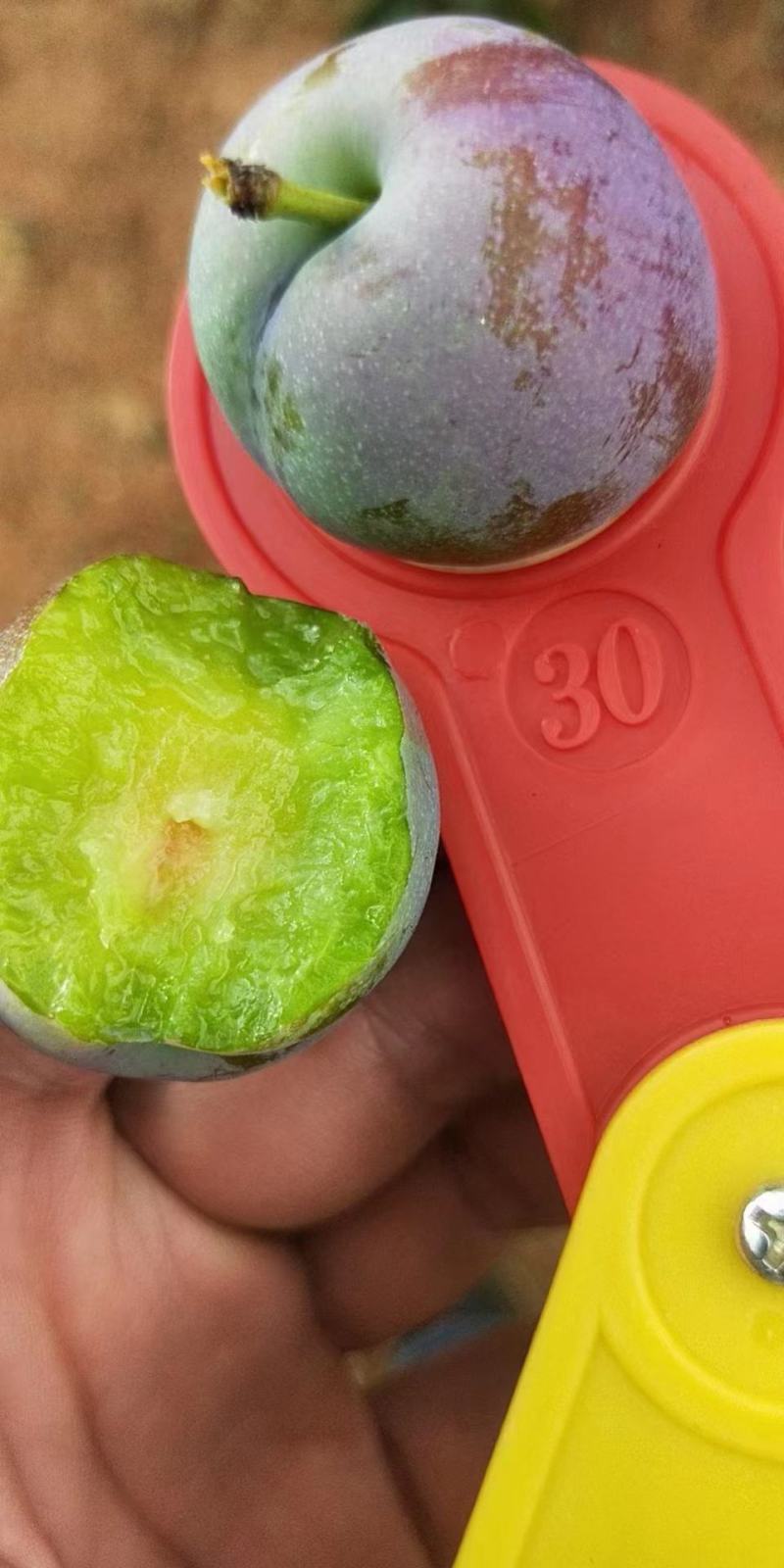 半边红