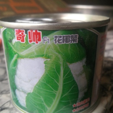 花椰菜，新优早熟秋花菜品种，该品种洁白紧实心叶护球，漂亮