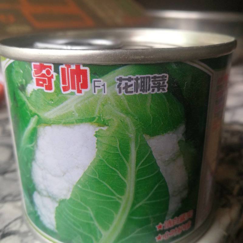 花椰菜，新优早熟秋花菜品种，该品种洁白紧实心叶护球，漂亮