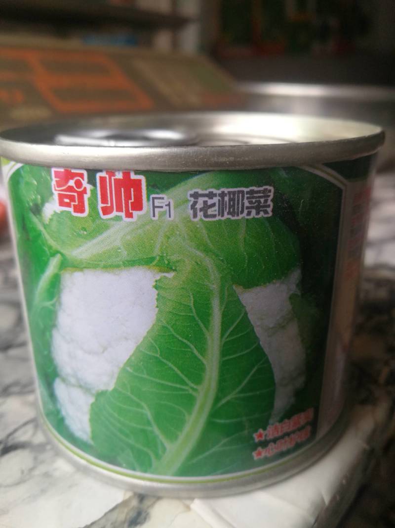 花椰菜，新优早熟秋花菜品种，该品种洁白紧实心叶护球，漂亮