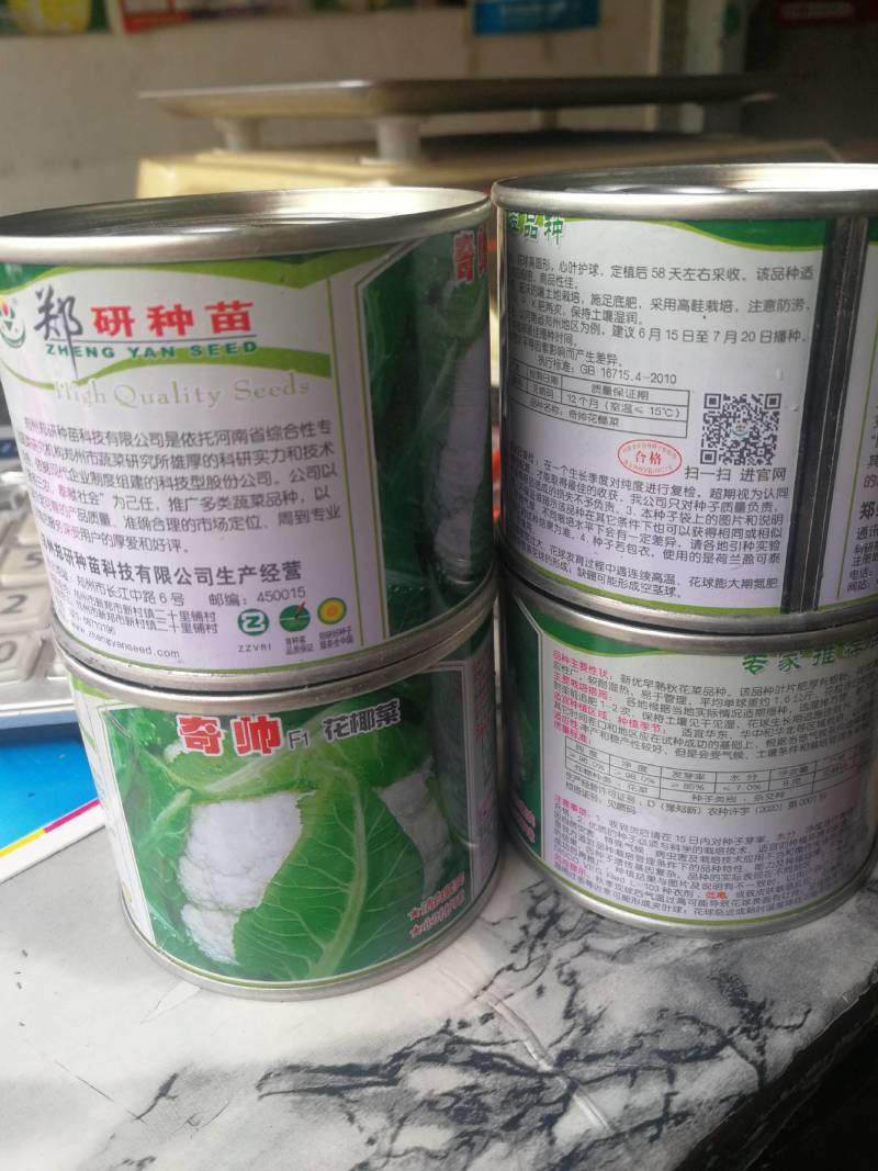 花椰菜，新优早熟秋花菜品种，该品种洁白紧实心叶护球，漂亮