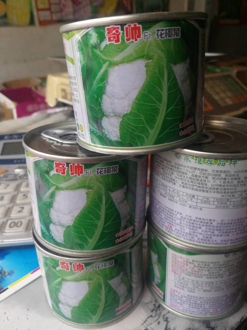 花椰菜，新优早熟秋花菜品种，该品种洁白紧实心叶护球，漂亮