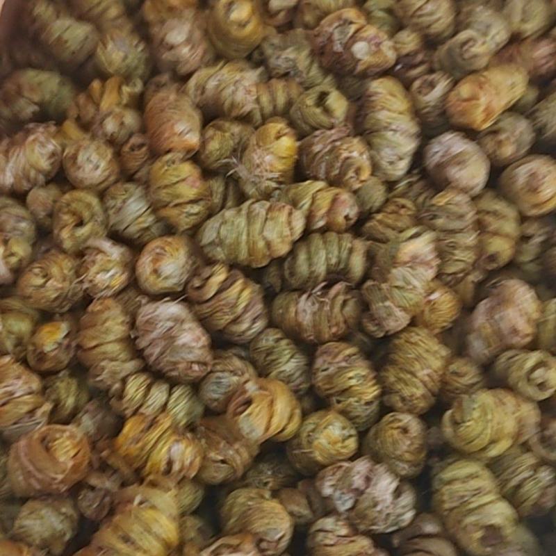 铁皮石斛