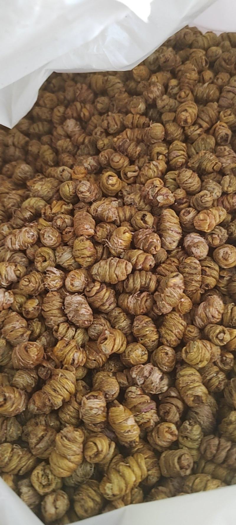 铁皮石斛