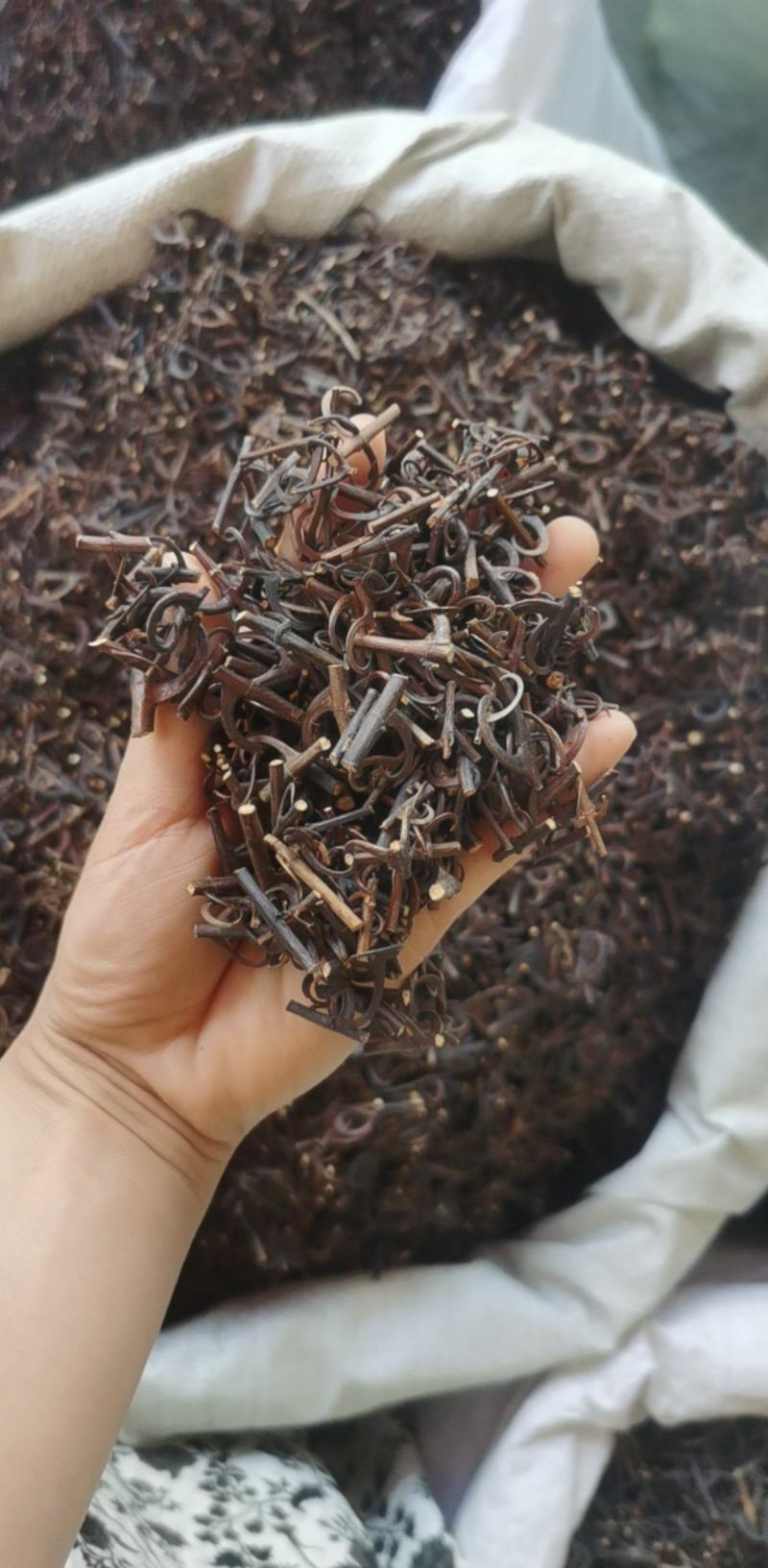 振兴药材批发供应钩藤规格齐全产地直供一手货源全国发货