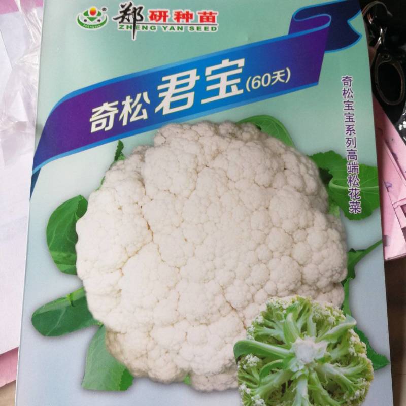 早熟杂交一代松菜品种，花球洁白细嫩青梗，口感好品质佳