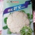 早熟杂交一代松菜品种，花球洁白细嫩青梗，口感好品质佳