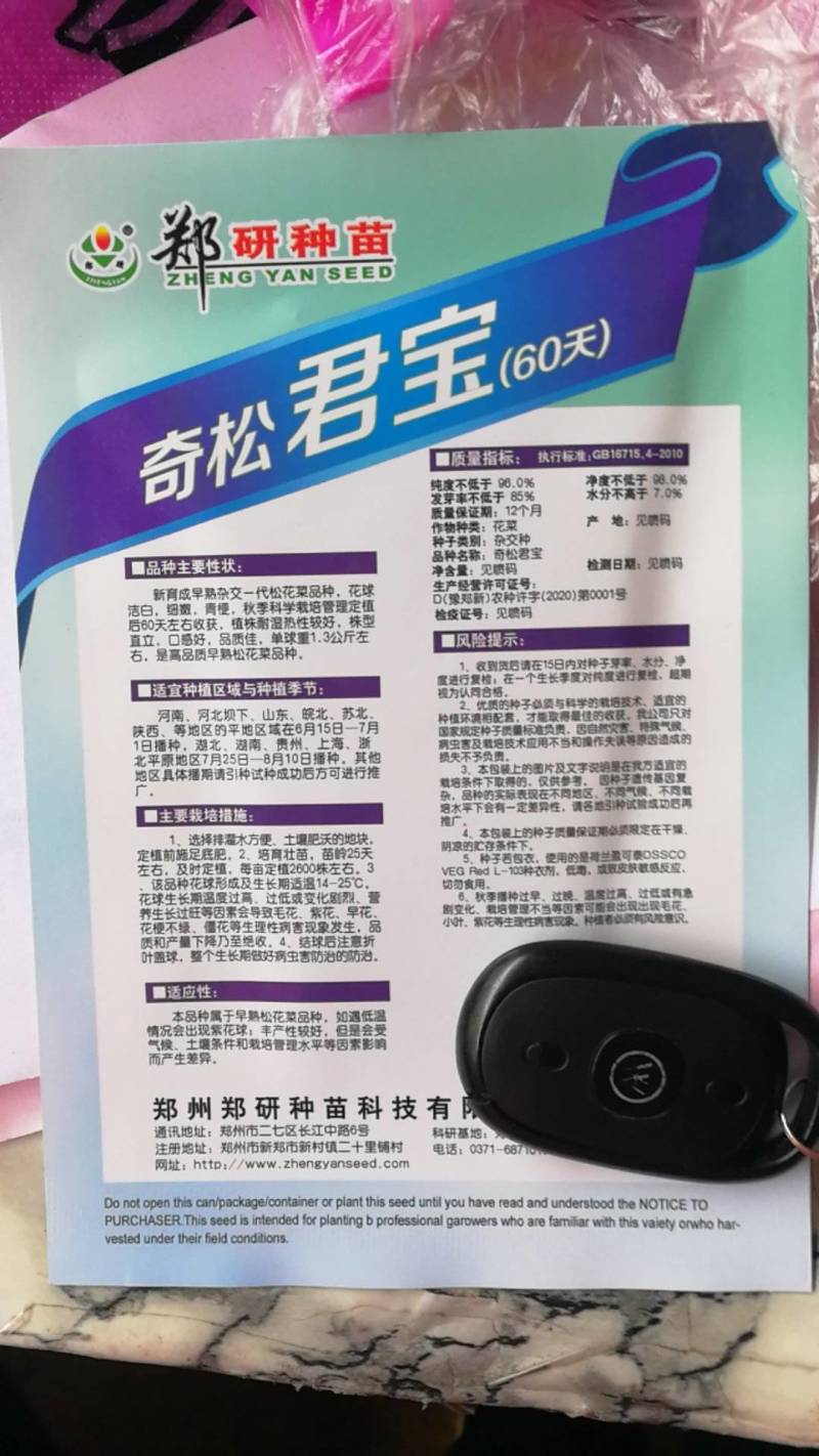早熟杂交一代松菜品种，花球洁白细嫩青梗，口感好品质佳