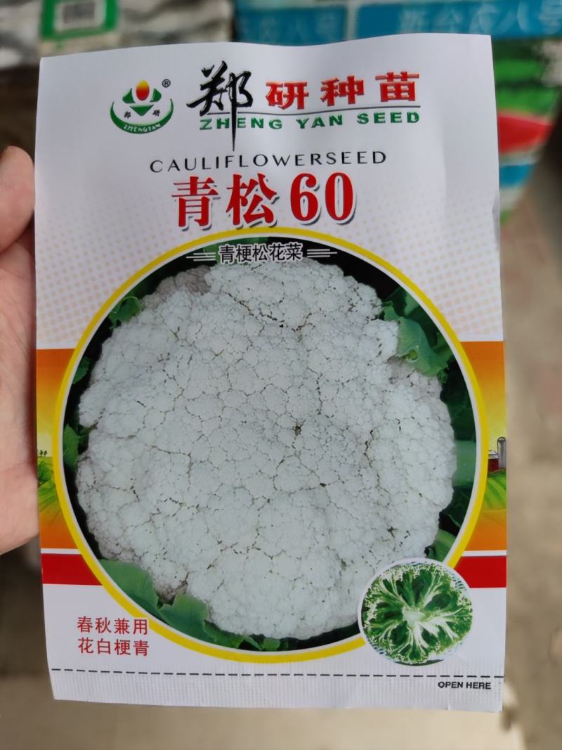 青松60青梗松花菜种子，8克