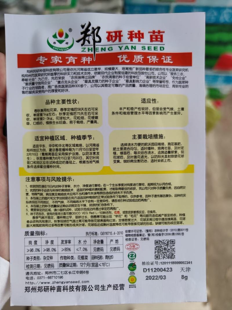 青松60青梗松花菜种子，8克