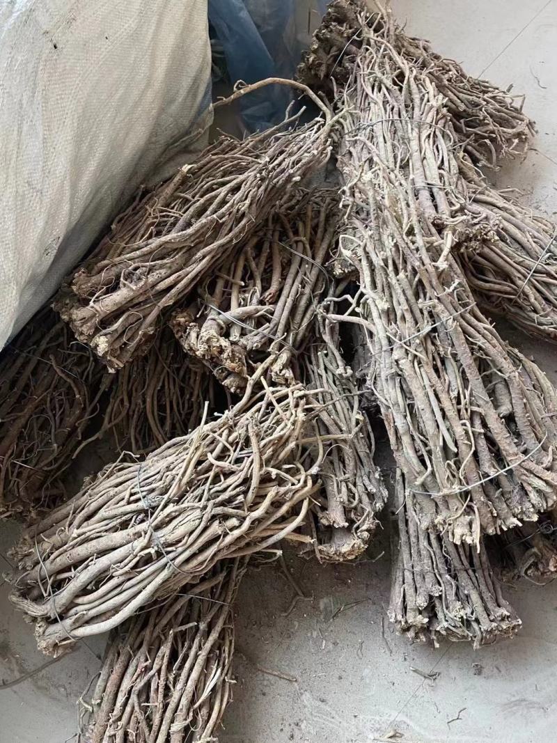 纯野生的老黄芪最少5-6年以上的老黄芪纯野.生味大香功