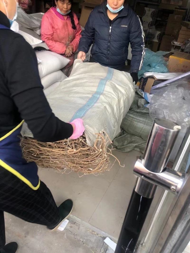 纯野生的老黄芪最少5-6年以上的老黄芪纯野.生味大香功