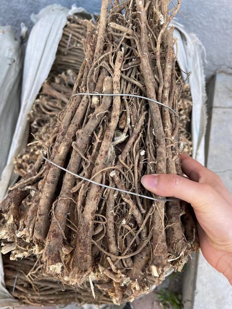 纯野生的老黄芪最少5-6年以上的老黄芪纯野.生味大香功