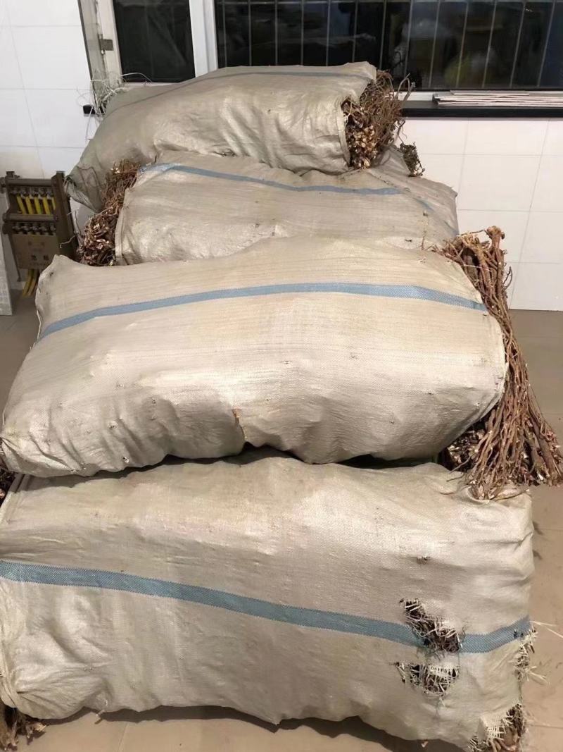 纯野生的老黄芪最少5-6年以上的老黄芪纯野.生味大香功
