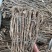 纯野生的老黄芪最少5-6年以上的老黄芪纯野.生味大香功