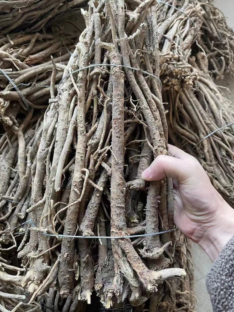 纯野生的老黄芪最少5-6年以上的老黄芪纯野.生味大香功